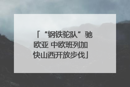 “钢铁驼队”驰欧亚 中欧班列加快山西开放步伐