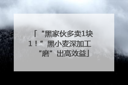 “黑家伙多卖1块1！”黑小麦深加工“磨”出高效益