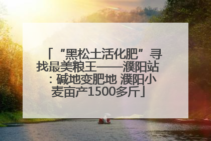 “黑松土活化肥”寻找最美粮王——濮阳站：碱地变肥地 濮阳小麦亩产1500多斤