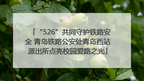 “526”共同守护铁路安全 青岛铁路公安处青岛西站派出所点亮校园爱路之光