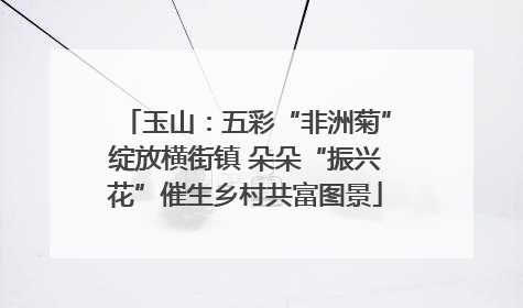 玉山：五彩“非洲菊”绽放横街镇 朵朵“振兴花”催生乡村共富图景