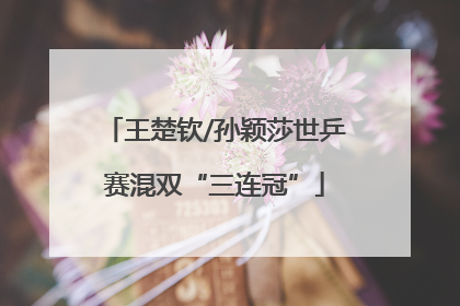王楚钦/孙颖莎世乒赛混双“三连冠”