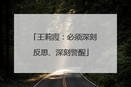王莉霞：必须深刻反思、深刻警醒