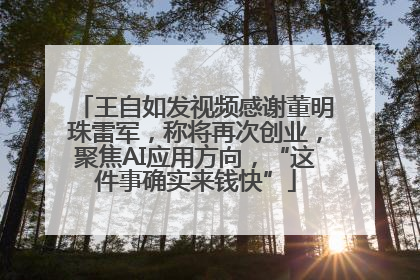 王自如发视频感谢董明珠雷军，称将再次创业，聚焦AI应用方向，“这件事确实来钱快”