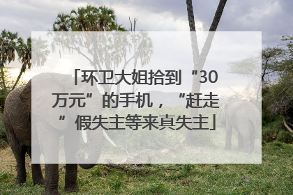 环卫大姐拾到“30万元”的手机，“赶走”假失主等来真失主