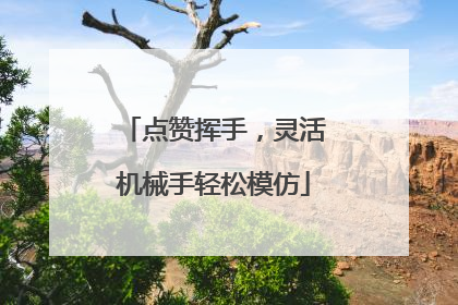 点赞挥手，灵活机械手轻松模仿