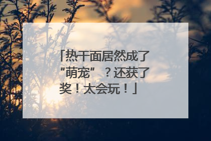 热干面居然成了“萌宠”？还获了奖！太会玩！