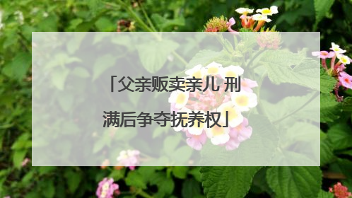 父亲贩卖亲儿 刑满后争夺抚养权