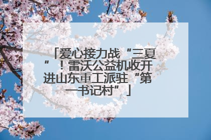 爱心接力战“三夏”！雷沃公益机收开进山东重工派驻“第一书记村”