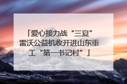 爱心接力战“三夏” 雷沃公益机收开进山东重工“第一书记村”