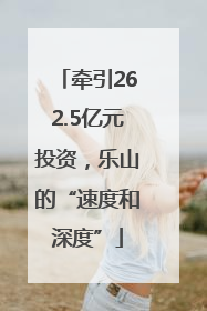 牵引262.5亿元投资，乐山的“速度和深度”