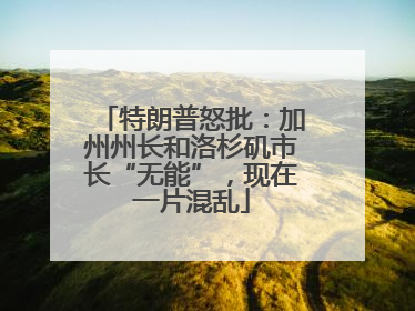 特朗普怒批：加州州长和洛杉矶市长“无能”，现在一片混乱