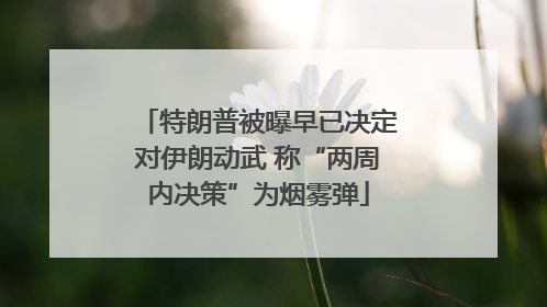 特朗普被曝早已决定对伊朗动武 称“两周内决策”为烟雾弹