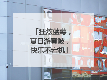狂炫蓝莓，夏日游黄陂，快乐不宕机