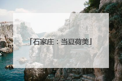 石家庄：当夏荷美