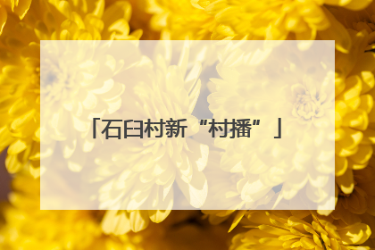 石臼村新“村播”