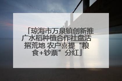 琼海市万泉镇创新推广水稻种植合作社盘活撂荒地 农户喜提“粮食+钞票”分红