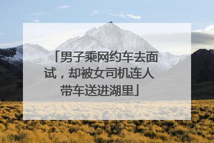 男子乘网约车去面试，却被女司机连人带车送进湖里