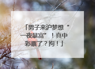 男子来沪梦想“一夜暴富”！真中彩票了？拘！