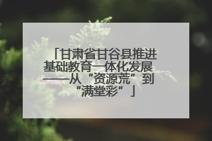 甘肃省甘谷县推进基础教育一体化发展——从“资源荒”到“满堂彩”
