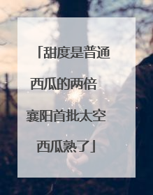 甜度是普通西瓜的两倍 襄阳首批太空西瓜熟了
