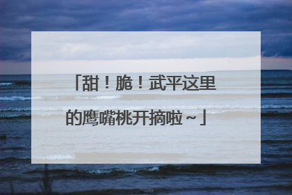 甜！脆！武平这里的鹰嘴桃开摘啦～