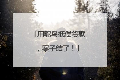 用鸵鸟抵偿货款，案子结了！