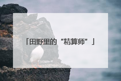 田野里的“精算师”