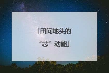 田间地头的“芯”动能