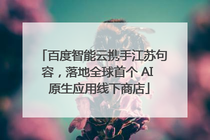 百度智能云携手江苏句容，落地全球首个 AI 原生应用线下商店