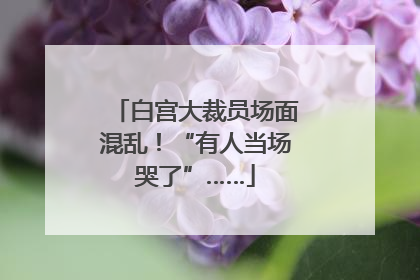白宫大裁员场面混乱！“有人当场哭了”……