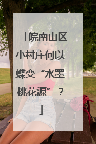 皖南山区小村庄何以蝶变“水墨桃花源”？