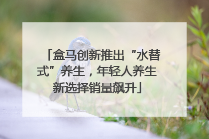 盒马创新推出“水替式”养生，年轻人养生新选择销量飙升