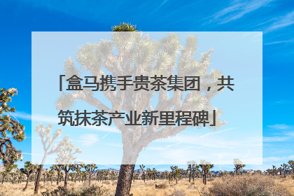 盒马携手贵茶集团，共筑抹茶产业新里程碑