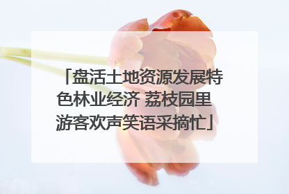 盘活土地资源发展特色林业经济 荔枝园里游客欢声笑语采摘忙