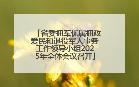 省委拥军优属拥政爱民和退役军人事务工作领导小组2025年全体会议召开