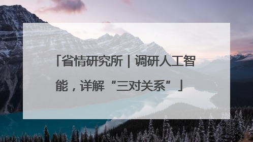 省情研究所｜调研人工智能，详解“三对关系”