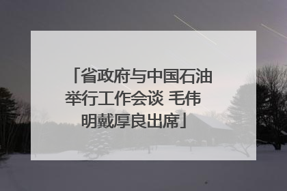 省政府与中国石油举行工作会谈 毛伟明戴厚良出席
