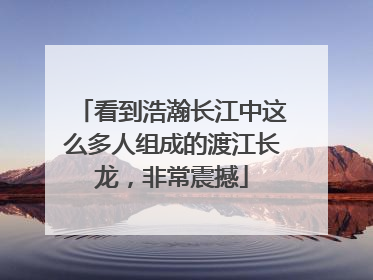 看到浩瀚长江中这么多人组成的渡江长龙，非常震撼