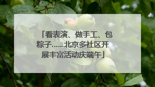 看表演、做手工、包粽子……北京多社区开展丰富活动庆端午