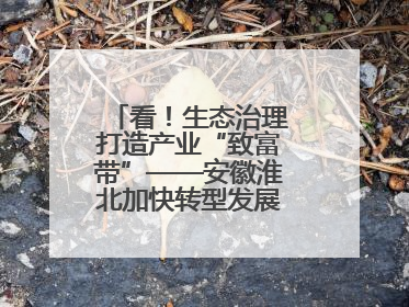 看！生态治理打造产业“致富带”——安徽淮北加快转型发展助力乡村振兴