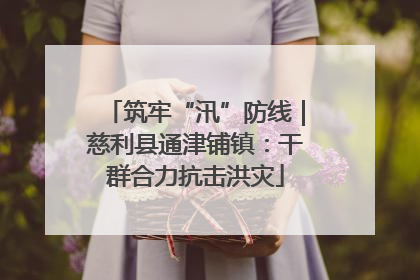 筑牢“汛”防线｜慈利县通津铺镇：干群合力抗击洪灾