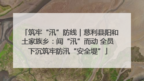 筑牢“汛”防线｜慈利县阳和土家族乡：闻“汛”而动 全员下沉筑牢防汛“安全堤”