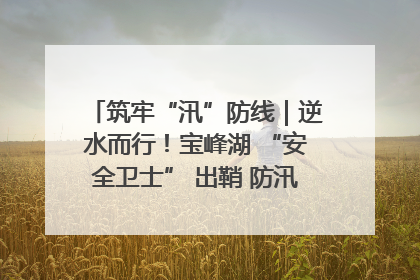 筑牢“汛”防线｜逆水而行！宝峰湖 “安全卫士” 出鞘 防汛应急再添硬核力量