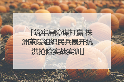 筑牢屏障谋打赢 株洲茶陵组织民兵展开抗洪抢险实战实训