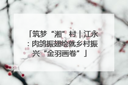筑梦“湘”村｜江永：肉鸽振翅绘就乡村振兴“金羽画卷”