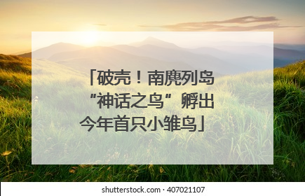 破壳！南麂列岛“神话之鸟”孵出今年首只小雏鸟