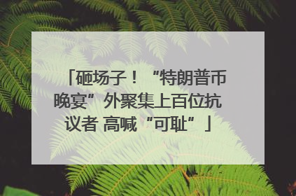 砸场子！“特朗普币晚宴”外聚集上百位抗议者 高喊“可耻”