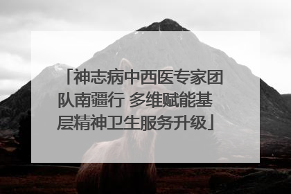 神志病中西医专家团队南疆行 多维赋能基层精神卫生服务升级