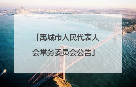 禹城市人民代表大会常务委员会公告
